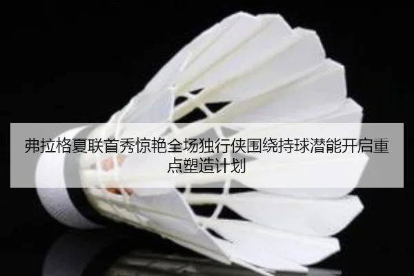 弗拉格夏联首秀惊艳全场独行侠围绕持球潜能开启重点塑造计划